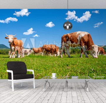 Bild på Cow herd in a field
